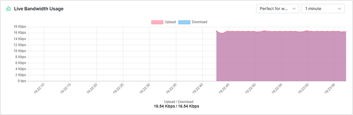 Live Bandwidth Usage