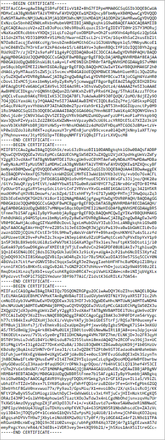 cert-example2.png